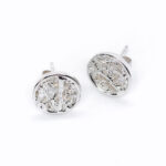 Cactus core sterling silver earrings